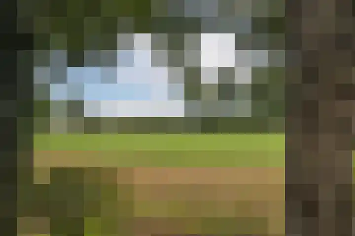 Kagelinkbosweg 12 Diepenheim thumbnail 24