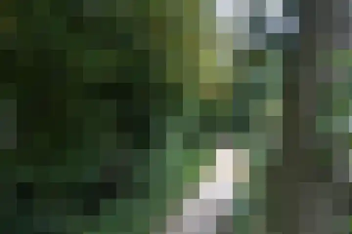 Kagelinkbosweg 12 Diepenheim thumbnail 27