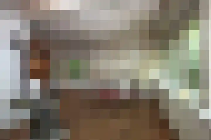 Kagelinkbosweg 12 Diepenheim thumbnail 5