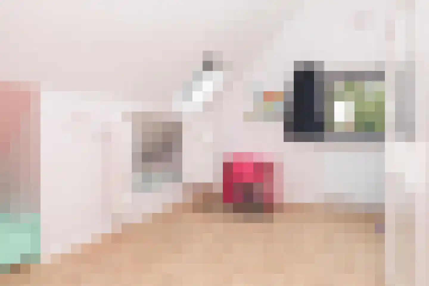 Kagerbos 41 Wervershoof thumbnail 32