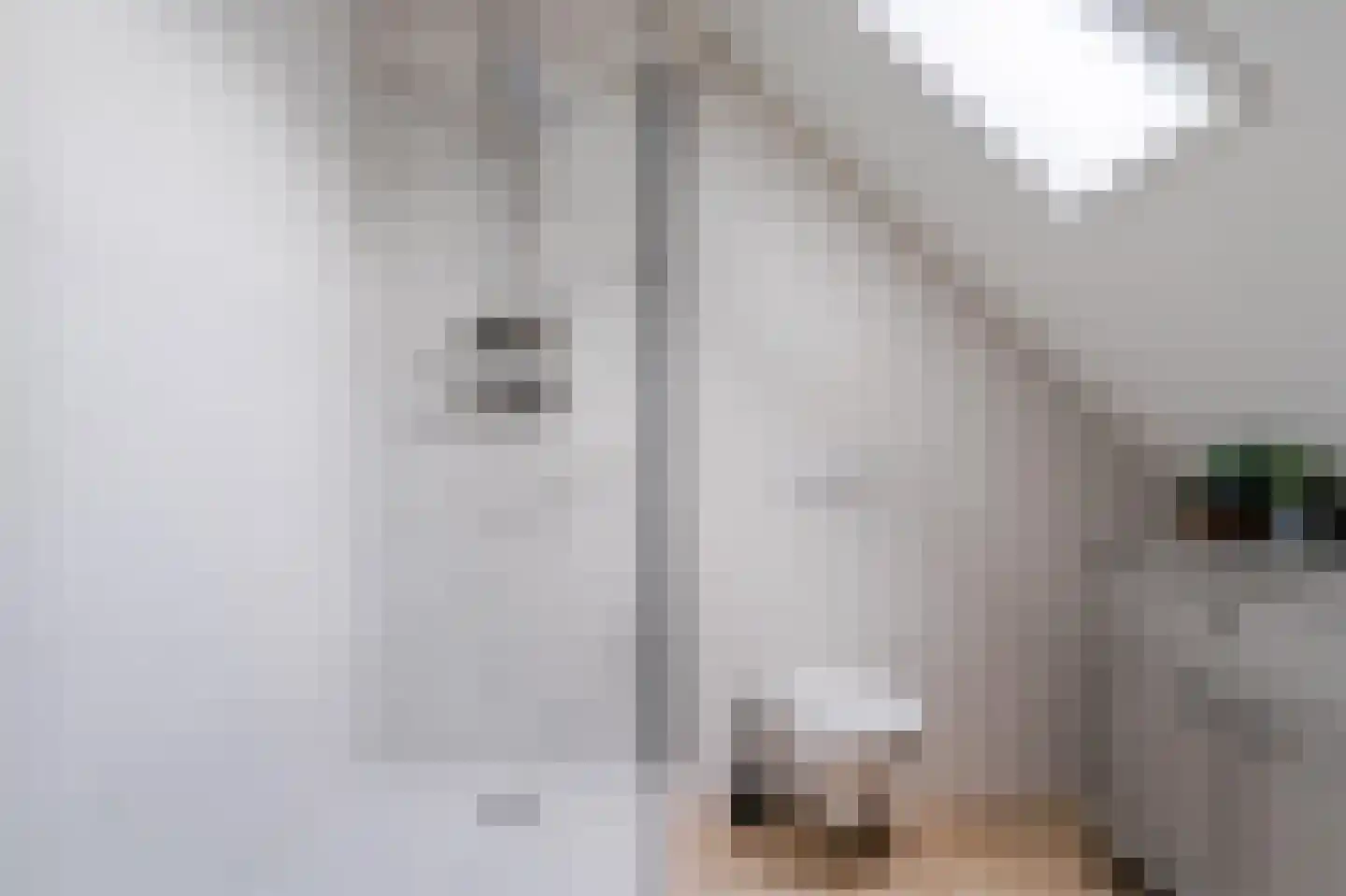 Kagerbos 41 Wervershoof thumbnail 37
