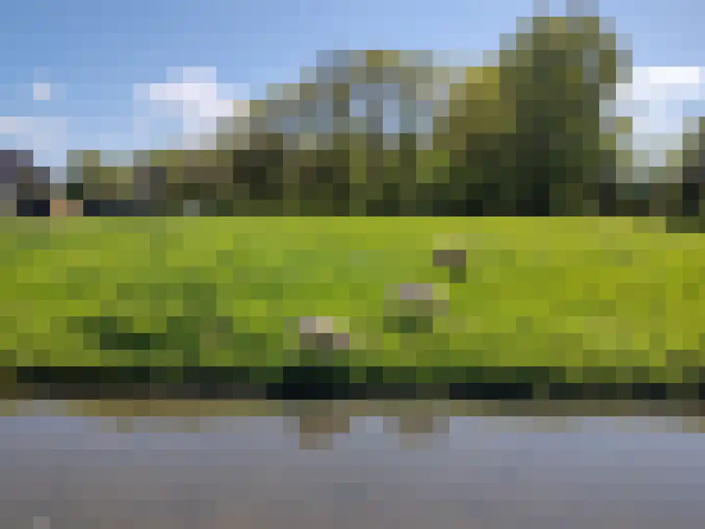 Kagerbos 41 Wervershoof thumbnail 50