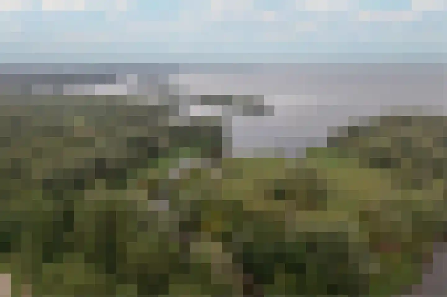 Kagerbos 41 Wervershoof thumbnail 57