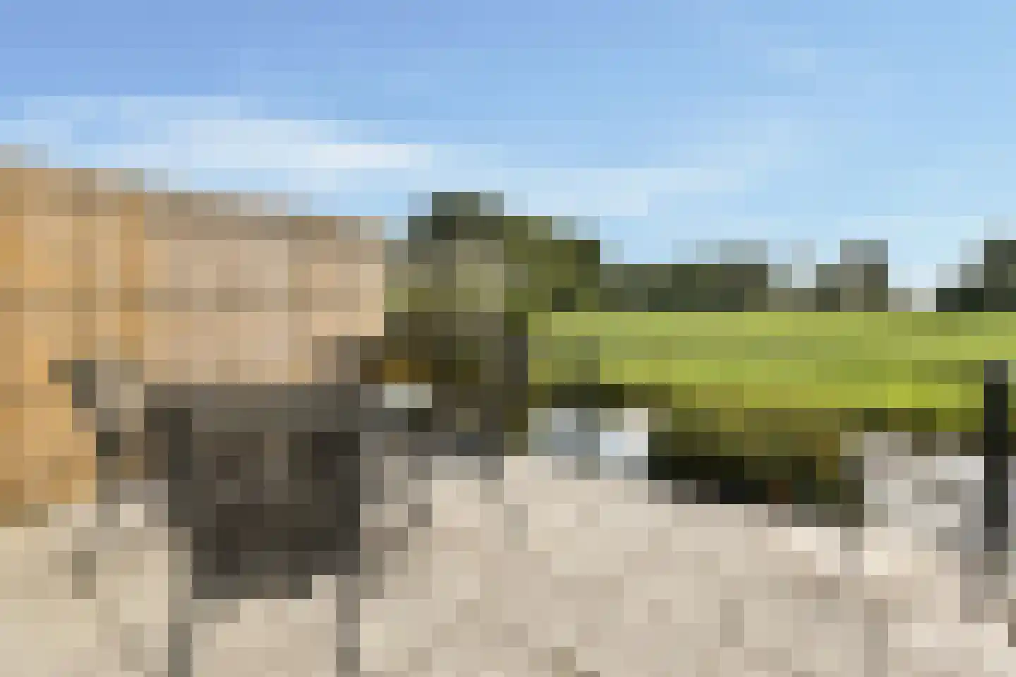 Kagerdreef 164 Sassenheim thumbnail 12
