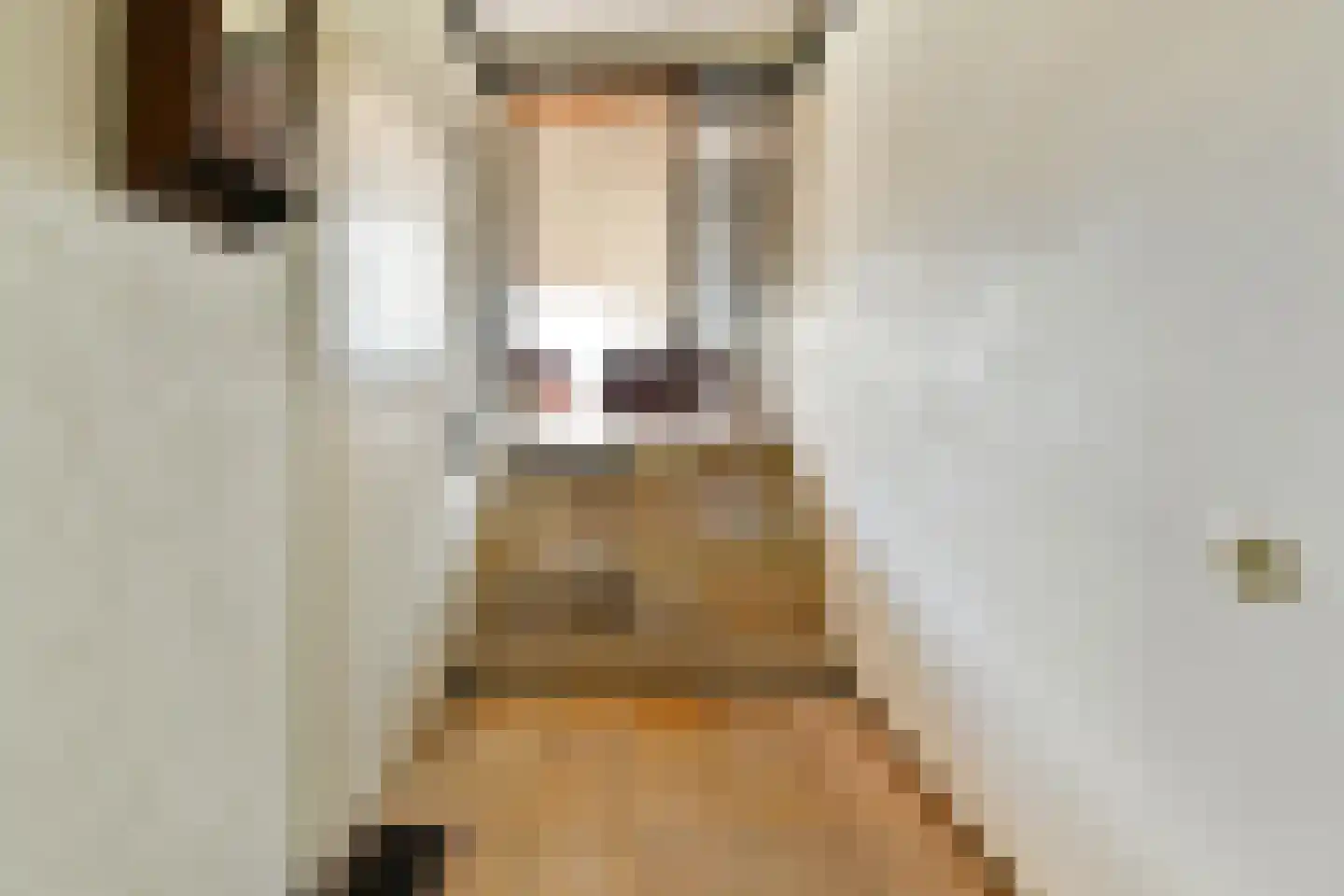 Kagerdreef 164 Sassenheim thumbnail 14