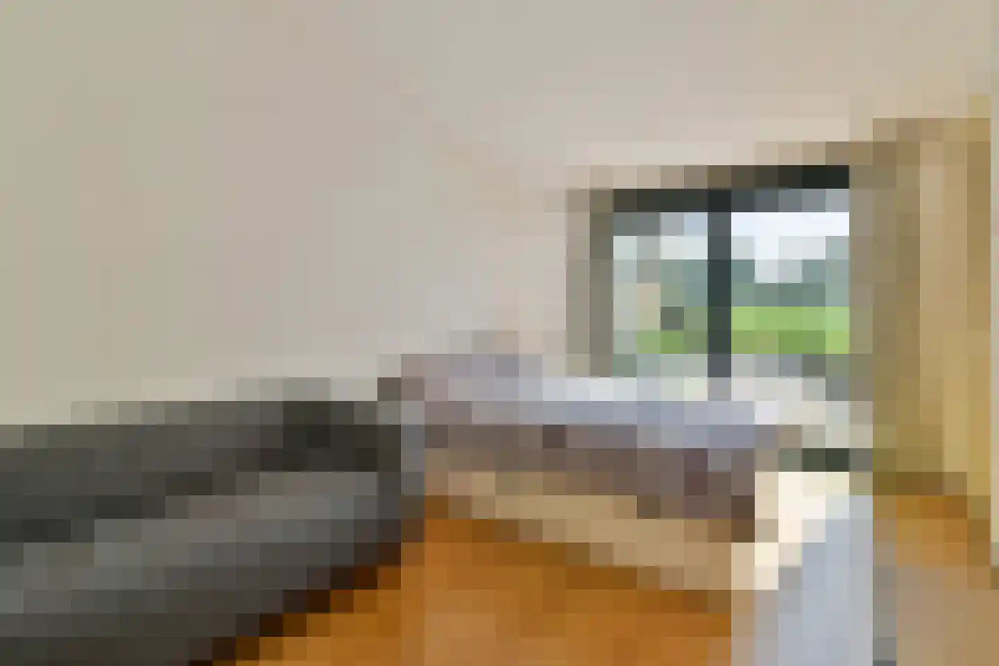 Kagerdreef 164 Sassenheim thumbnail 17