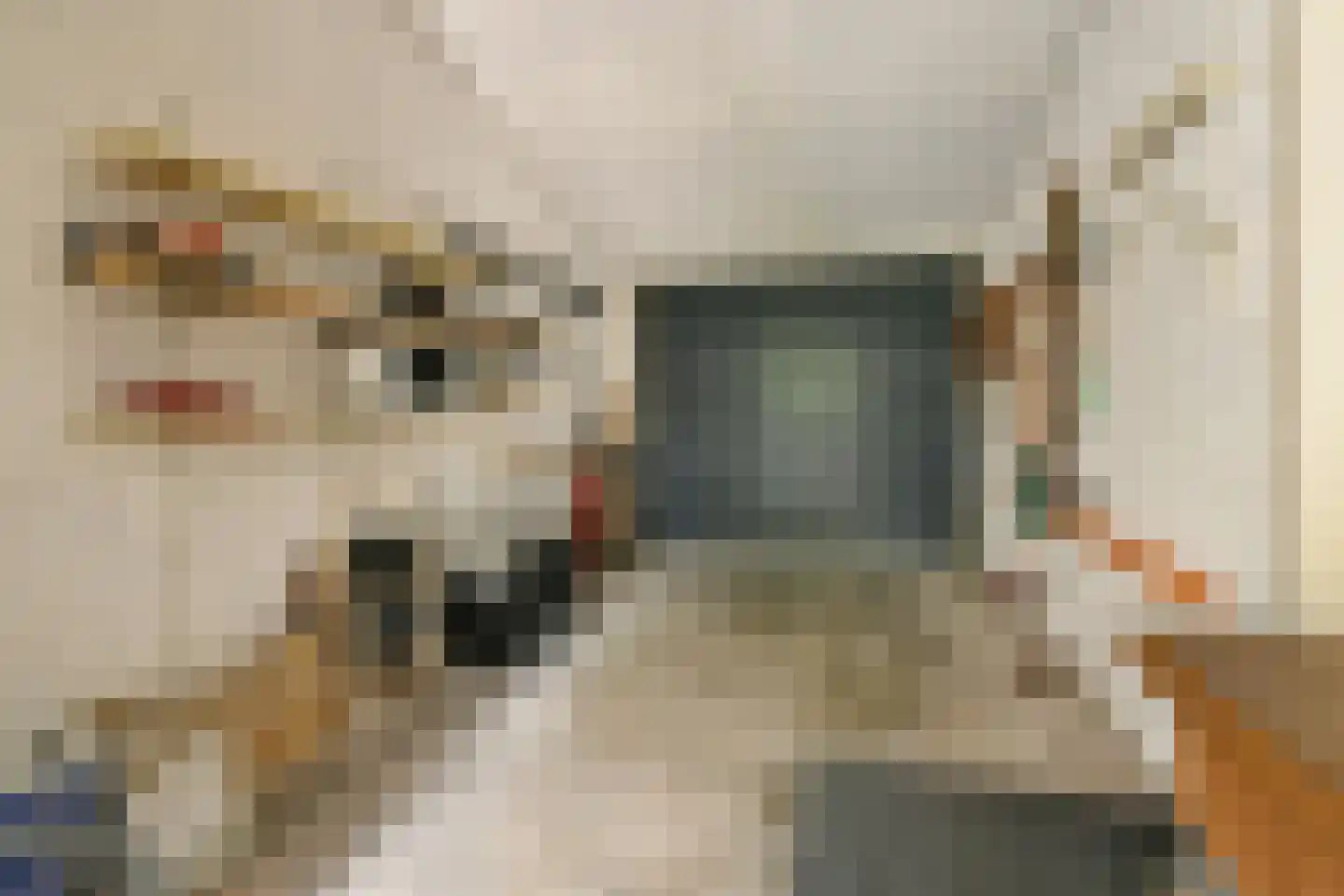 Kagerdreef 164 Sassenheim thumbnail 35
