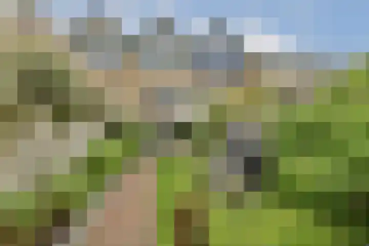 Kagerdreef 182 Sassenheim thumbnail 12