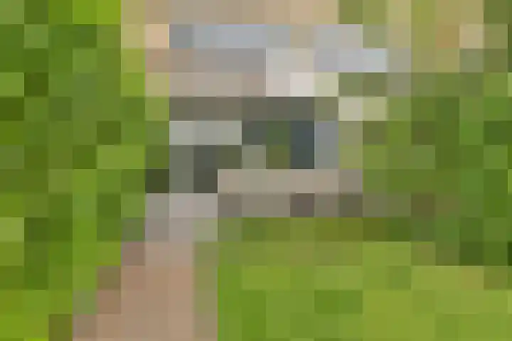 Kagerdreef 182 Sassenheim thumbnail 13
