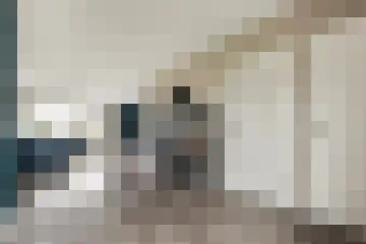 Kagerdreef 182 Sassenheim thumbnail 14