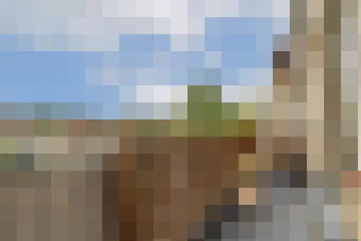 Kagerdreef 182 Sassenheim thumbnail 16