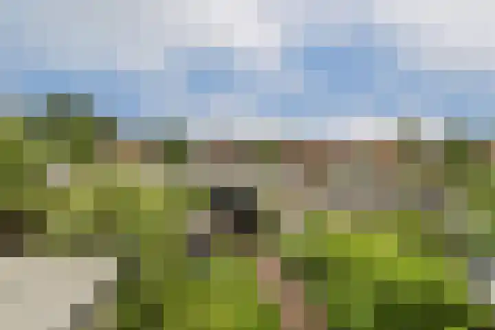 Kagerdreef 182 Sassenheim thumbnail 17