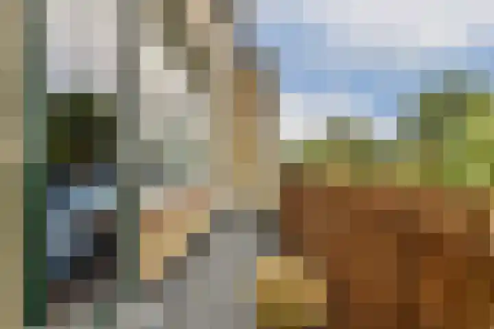 Kagerdreef 182 Sassenheim thumbnail 18