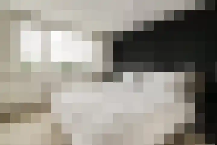 Kagerdreef 182 Sassenheim thumbnail 21