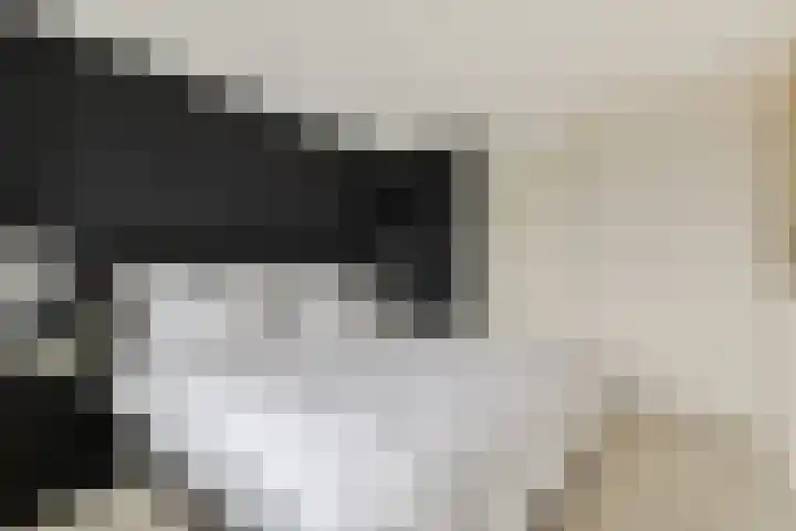 Kagerdreef 182 Sassenheim thumbnail 22