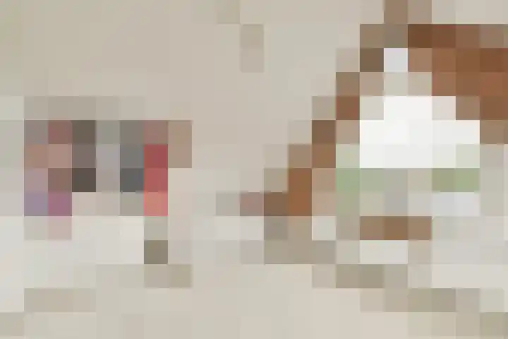 Kagerdreef 182 Sassenheim thumbnail 29