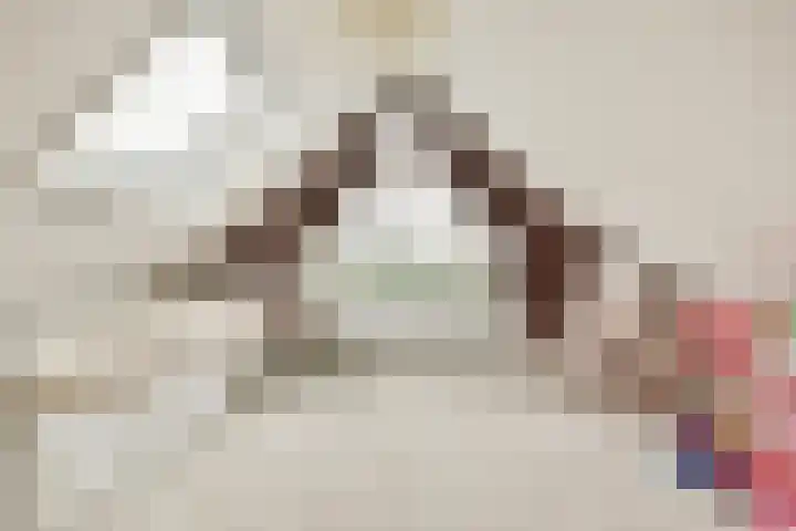 Kagerdreef 182 Sassenheim thumbnail 31