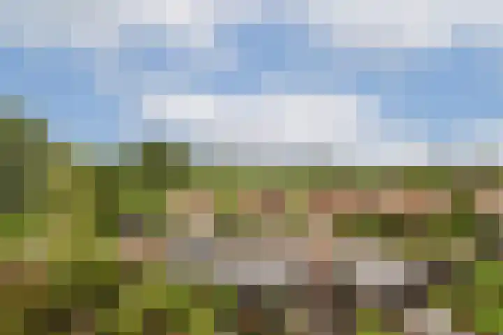 Kagerdreef 182 Sassenheim thumbnail 33