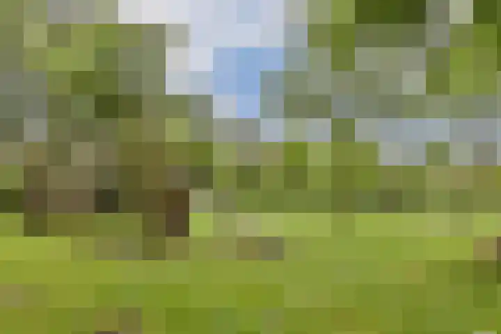 Kagerdreef 182 Sassenheim thumbnail 36