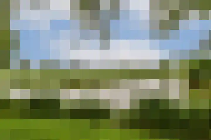 Kagerdreef 182 Sassenheim thumbnail 37