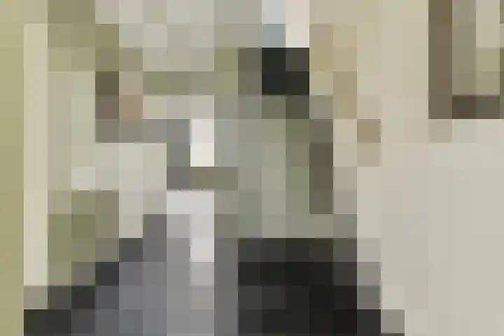 Kagerdreef 182 Sassenheim thumbnail 5