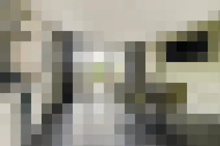 Kagerdreef 182 Sassenheim thumbnail 6