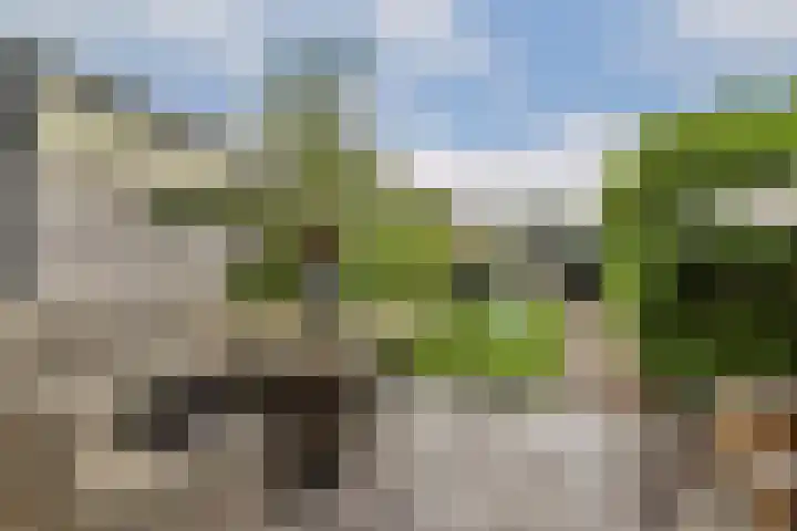 Kagerdreef 182 Sassenheim thumbnail 9