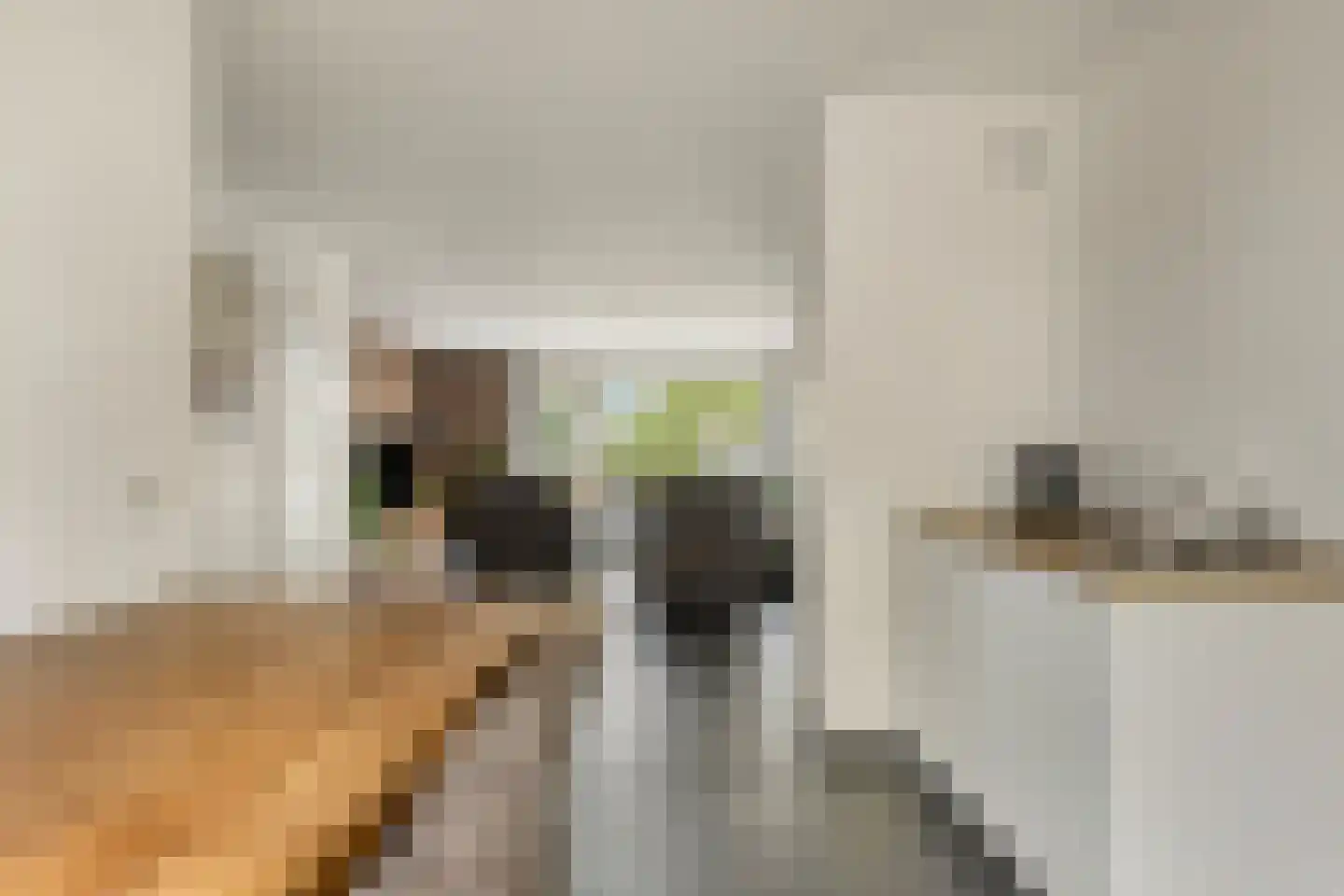 Kagerdreef 46 Sassenheim thumbnail 18