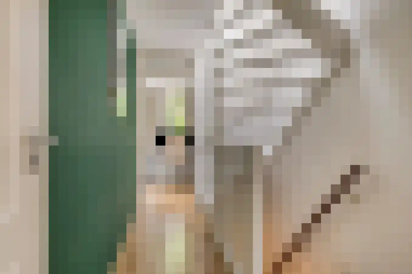 Kagerdreef 46 Sassenheim thumbnail 21