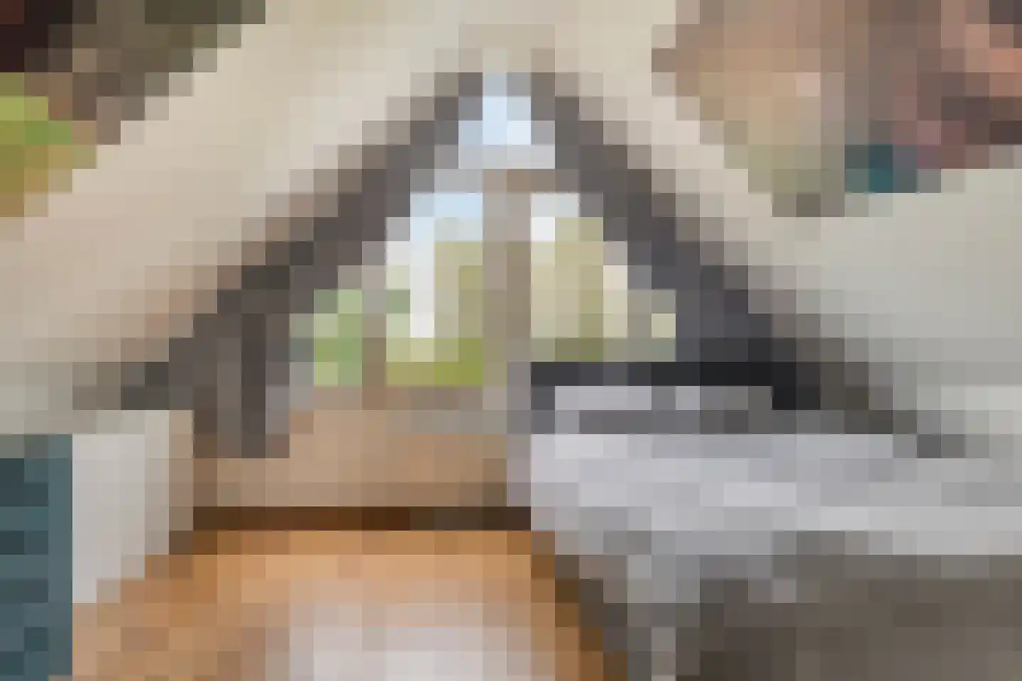 Kagerdreef 46 Sassenheim thumbnail 29