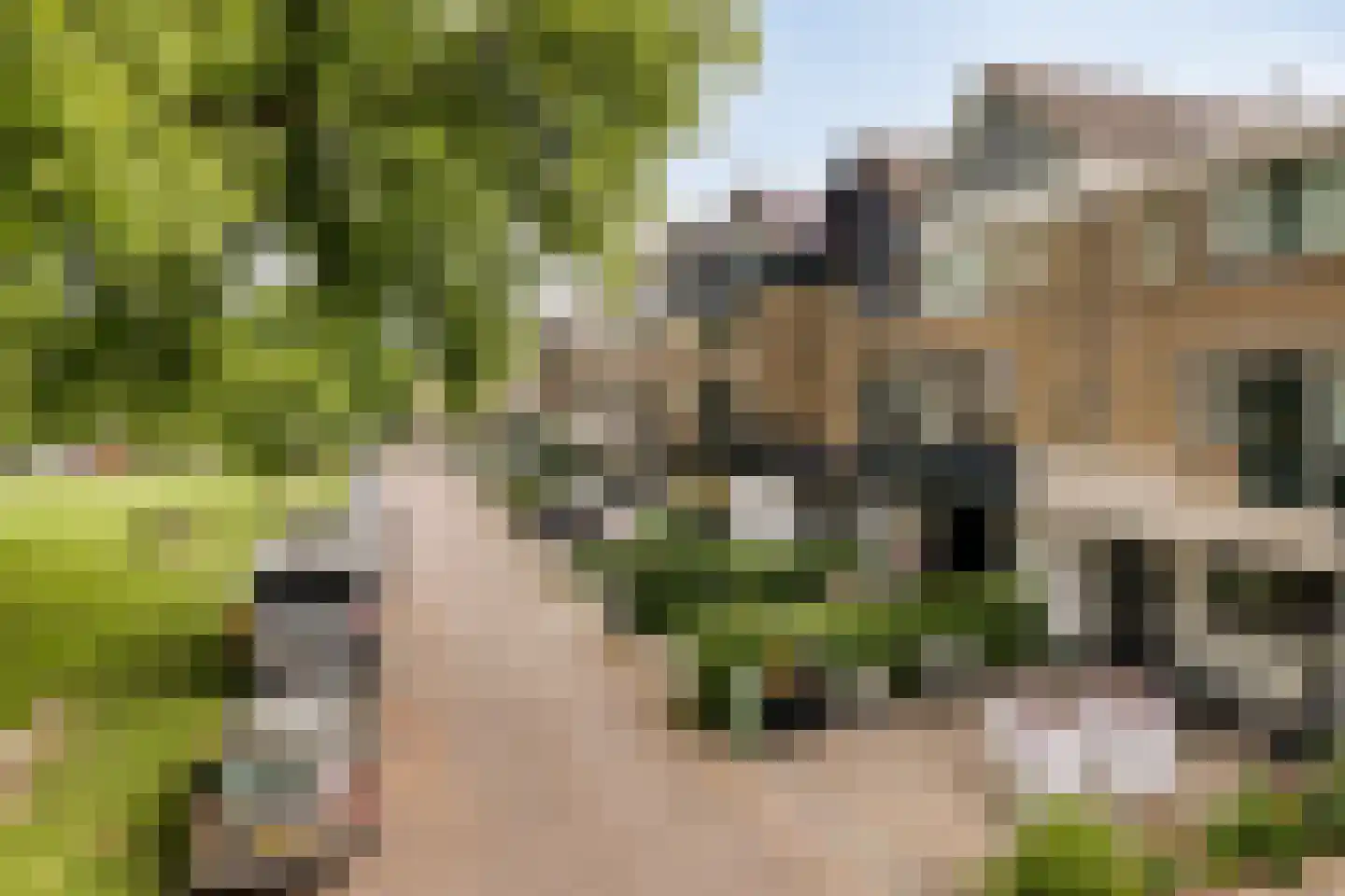 Kagerdreef 46 Sassenheim thumbnail 32