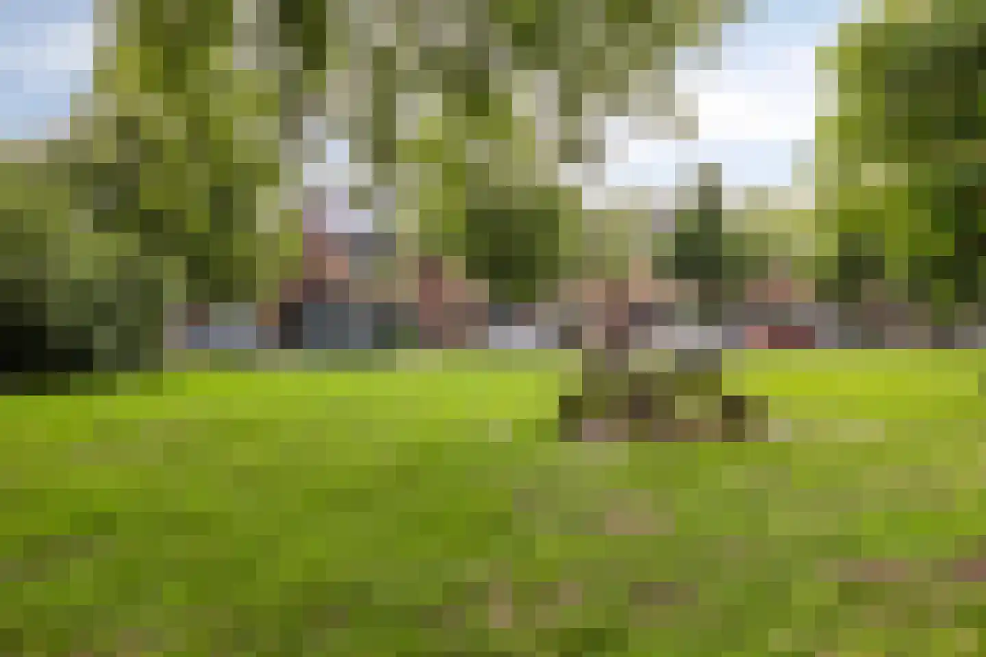 Kagerdreef 46 Sassenheim thumbnail 34