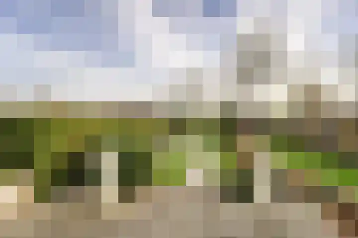 Kagerdreef 58 Sassenheim thumbnail 10