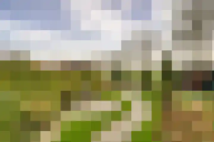 Kagerdreef 58 Sassenheim thumbnail 11