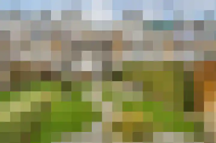 Kagerdreef 58 Sassenheim thumbnail 12