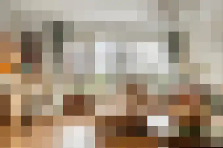 Kagerdreef 58 Sassenheim thumbnail 21