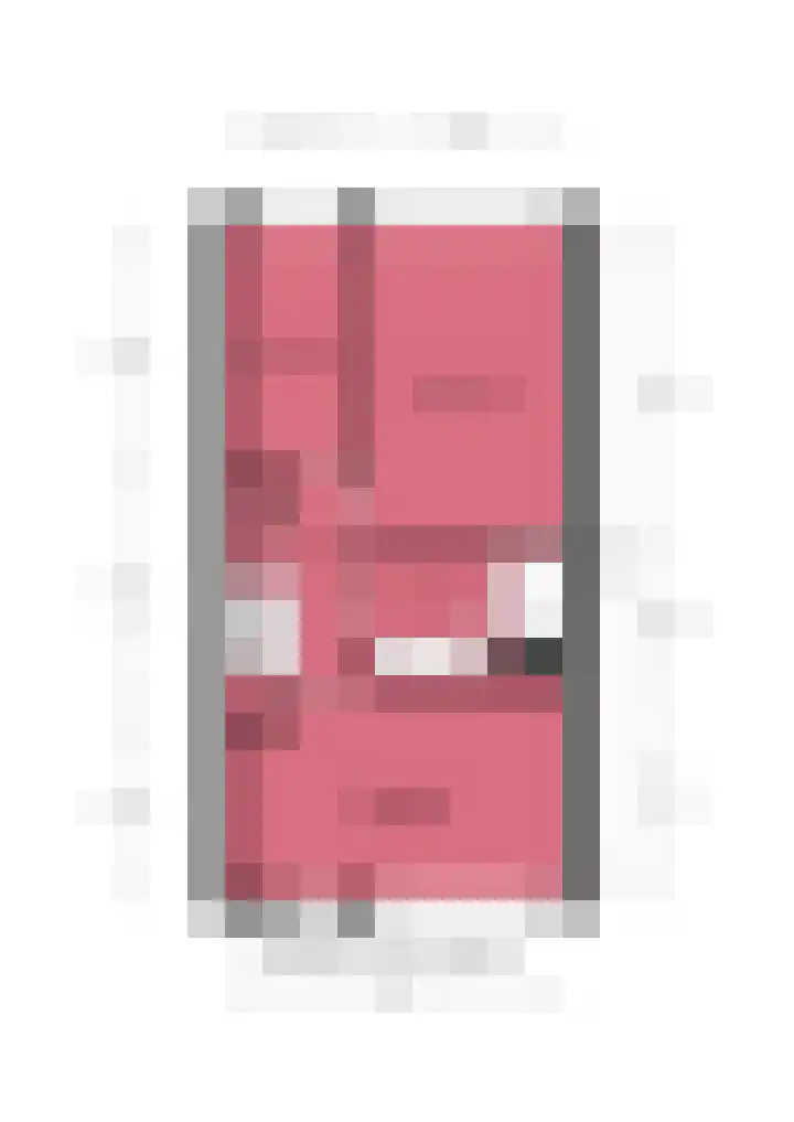 Kagerdreef 58 Sassenheim thumbnail 38