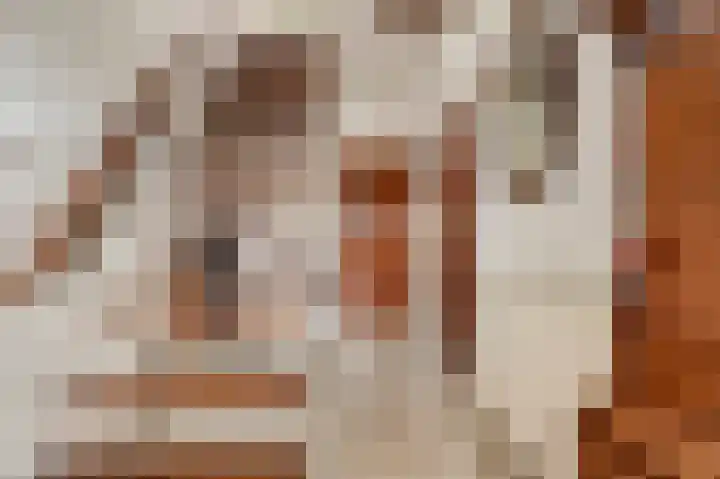 Kagerdreef 58 Sassenheim thumbnail 5