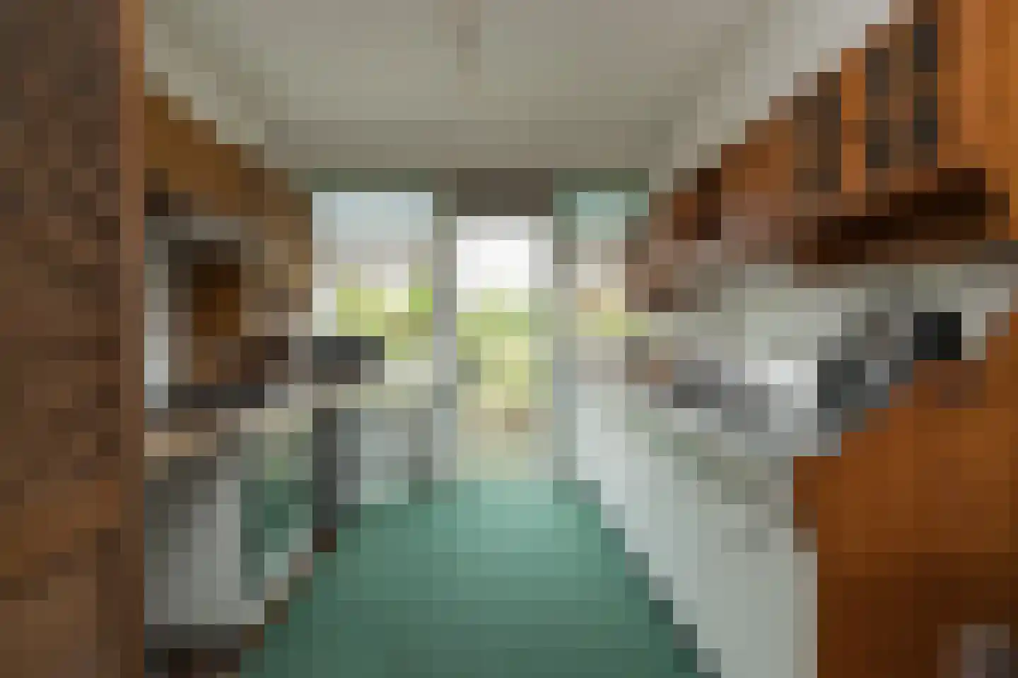 Kagerdreef 96 Sassenheim thumbnail 12