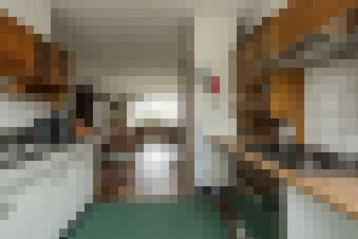 Kagerdreef 96 Sassenheim thumbnail 14