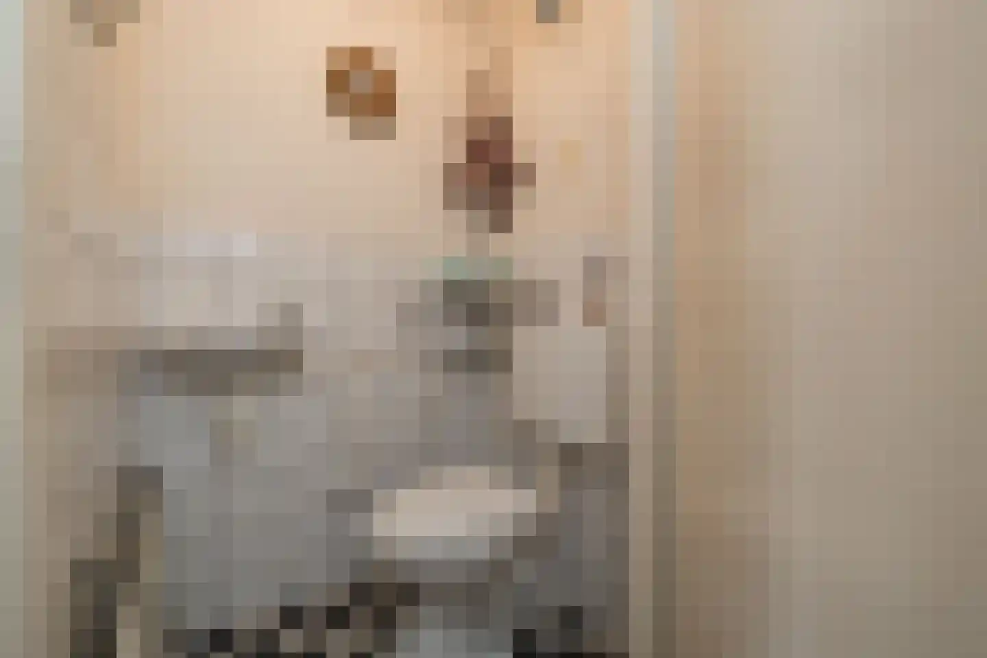 Kagerdreef 96 Sassenheim thumbnail 16