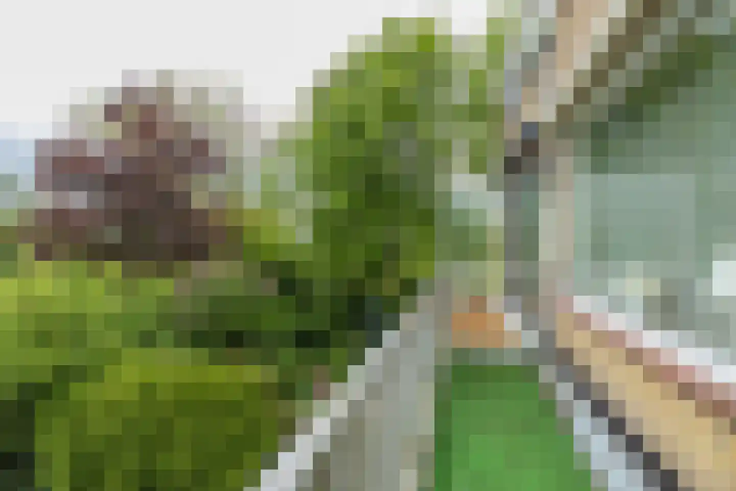 Kagerdreef 96 Sassenheim thumbnail 21