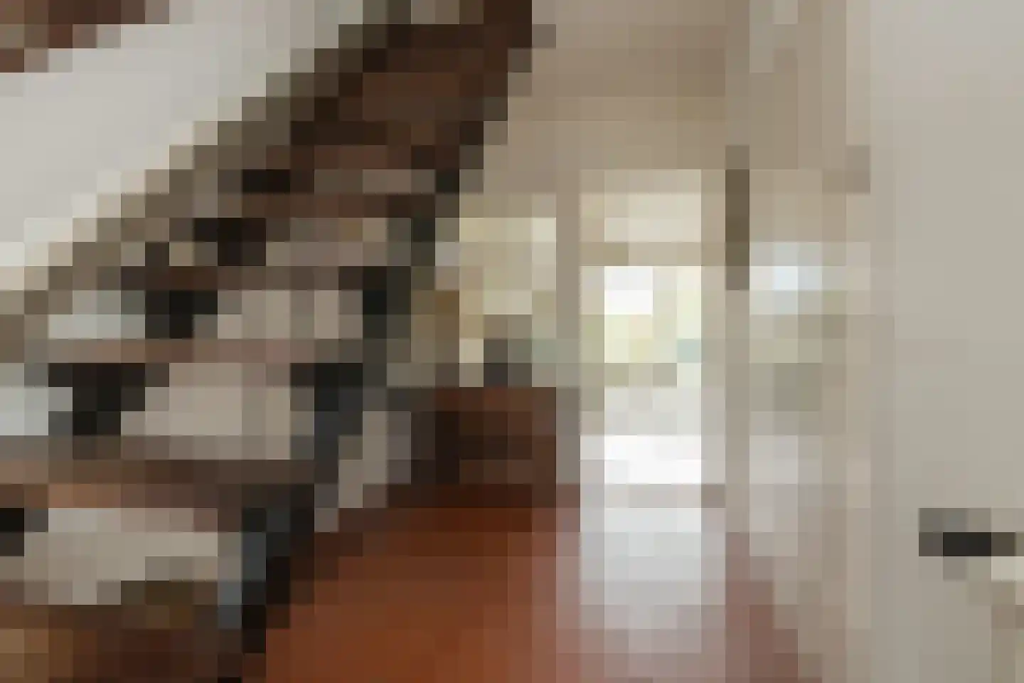 Kagerdreef 96 Sassenheim thumbnail 23