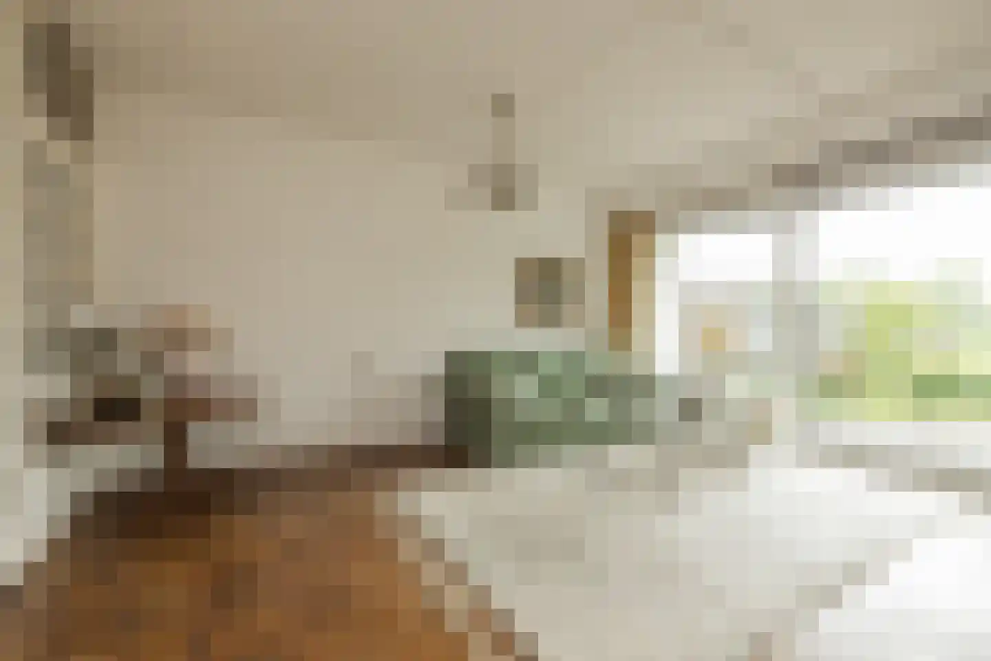 Kagerdreef 96 Sassenheim thumbnail 25