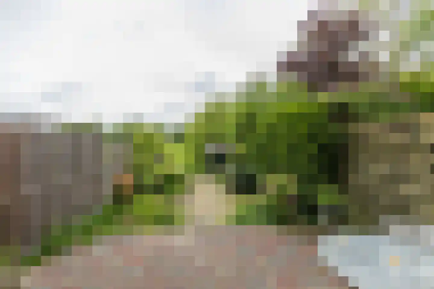 Kagerdreef 96 Sassenheim thumbnail 28