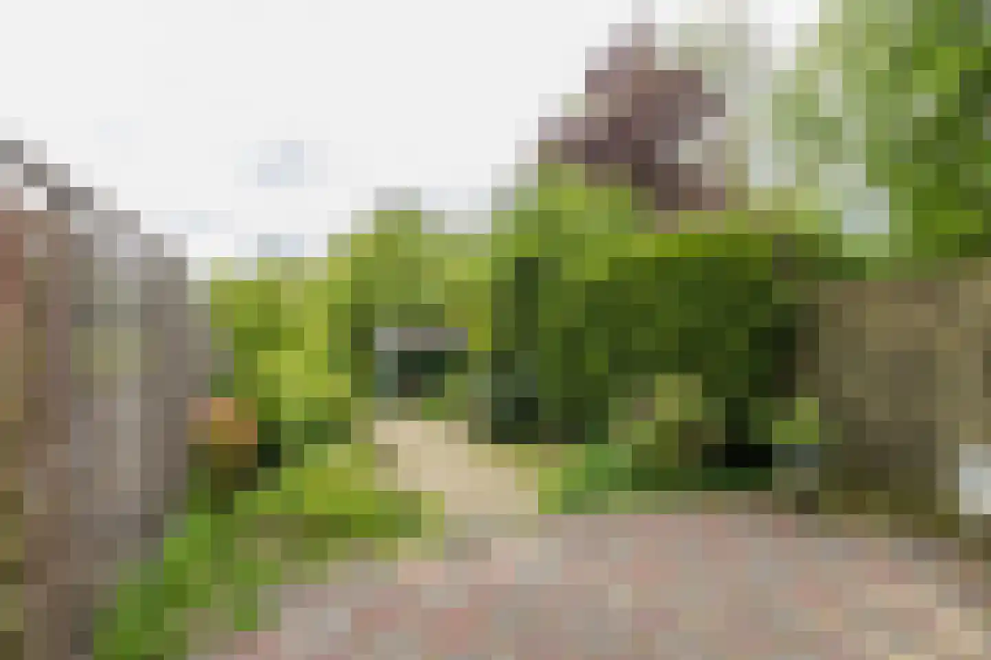 Kagerdreef 96 Sassenheim thumbnail 29