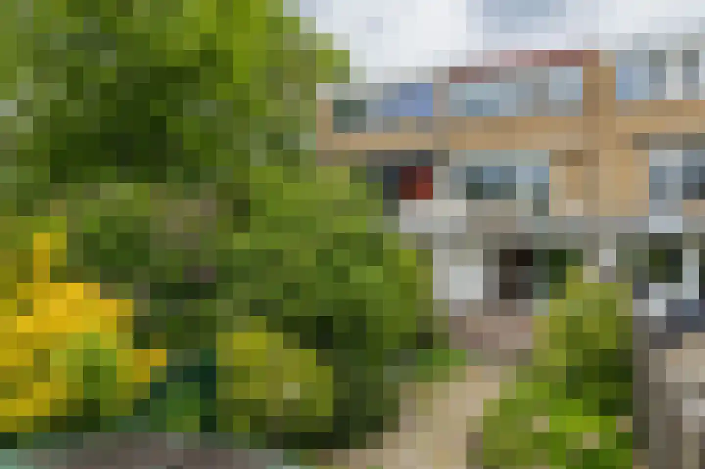 Kagerdreef 96 Sassenheim foto 3