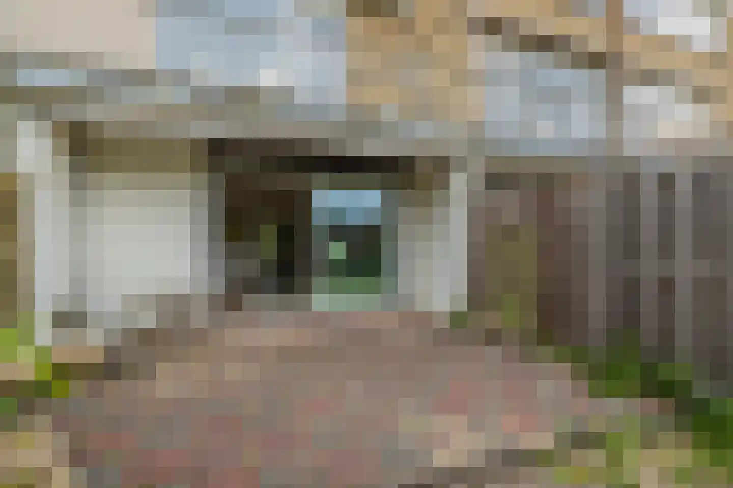 Kagerdreef 96 Sassenheim thumbnail 31