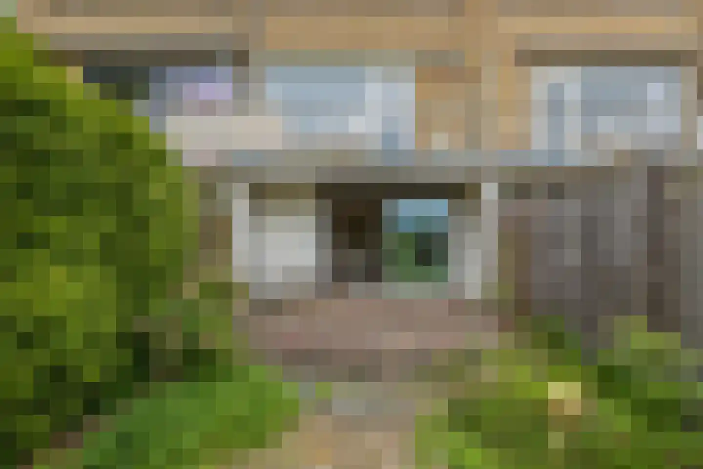 Kagerdreef 96 Sassenheim thumbnail 32