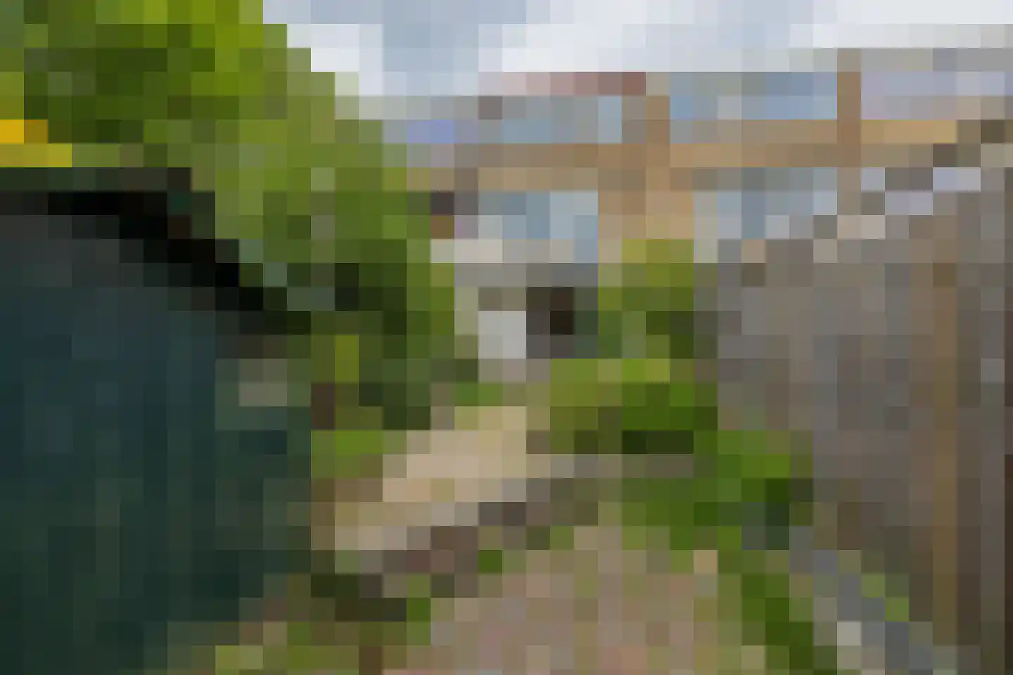 Kagerdreef 96 Sassenheim thumbnail 35